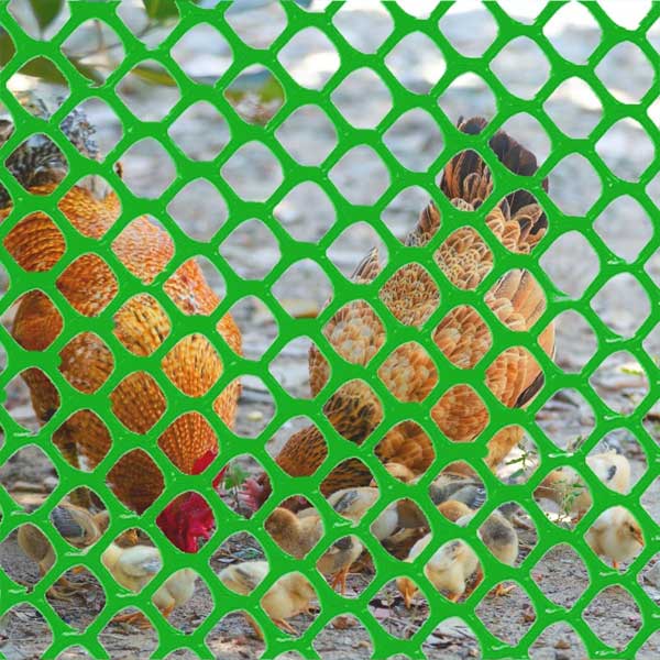 Chicken Wire Plastic Mesh Roll Fencing Poultry Breeding Netting